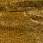 Aphrodite 11 - Honey